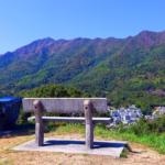 Untitled design (51)