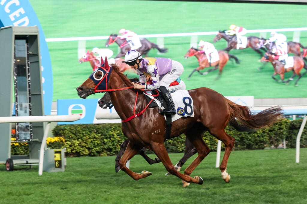 賽馬排位表專業解讀