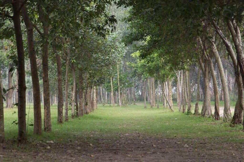 長途單車路線專業分析